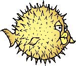 openbsd